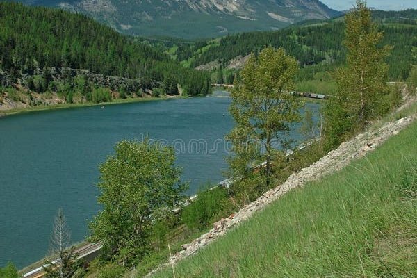 Кракен современный маркетплейс