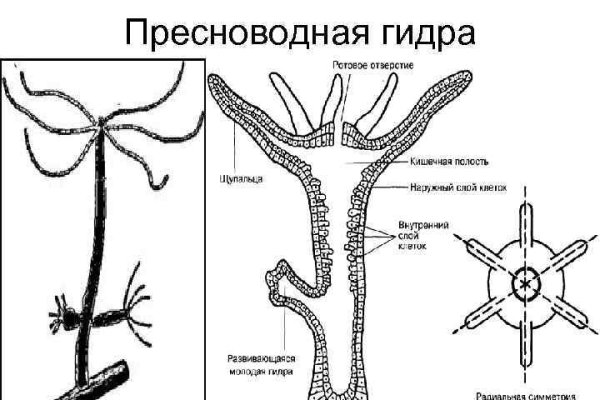 Кракен ссылка kraken dark link